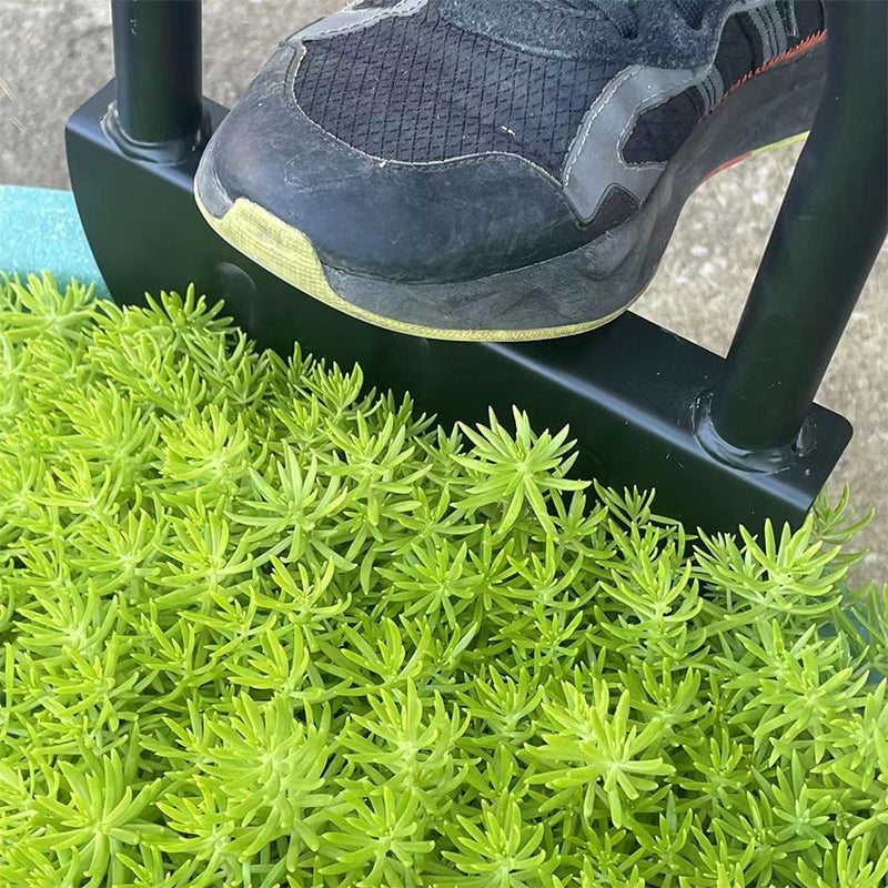 Halbmond-Rasenkantenschneider mit T-Griff