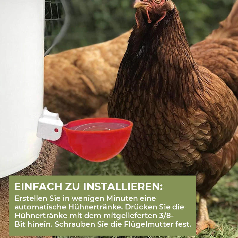 Automatische Hühnertränken