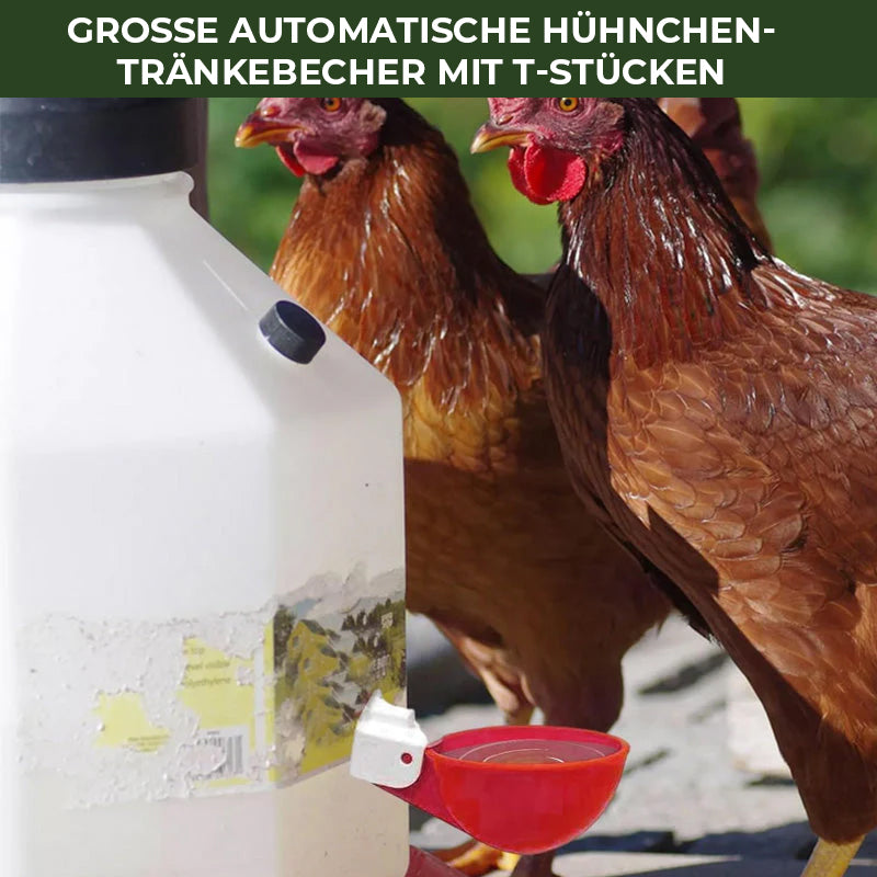 Automatische Hühnertränken