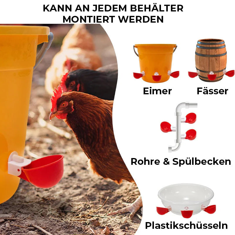 Automatische Hühnertränken