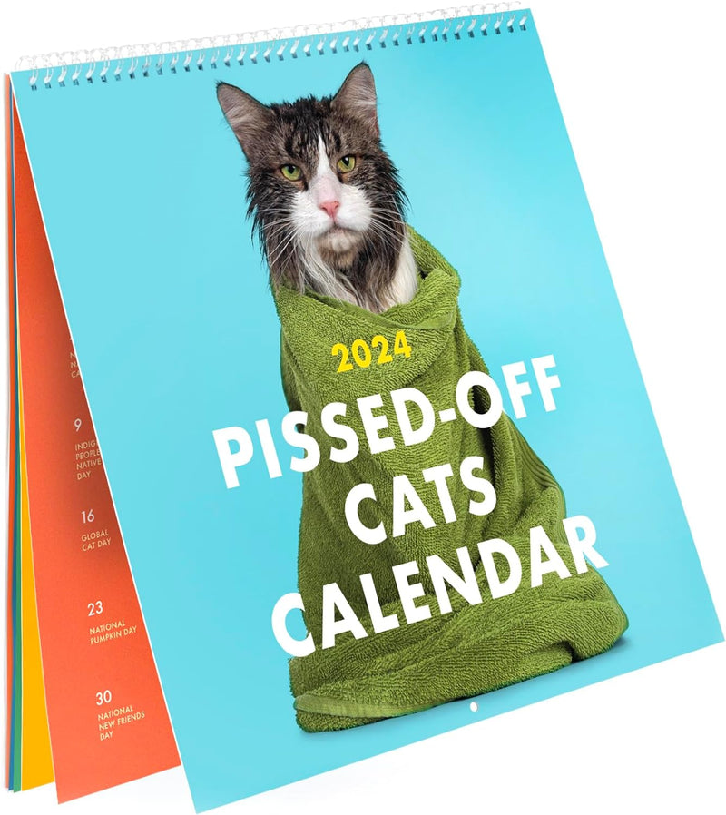 2025 Katzen Kalender