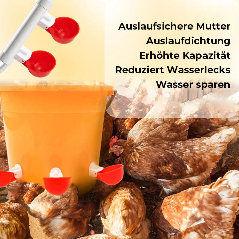 Automatische Hühnertränken