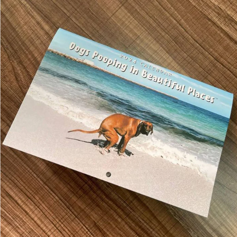 Frühbucherpreis---Kalender 2024: Hunde kacken an schönen Orten