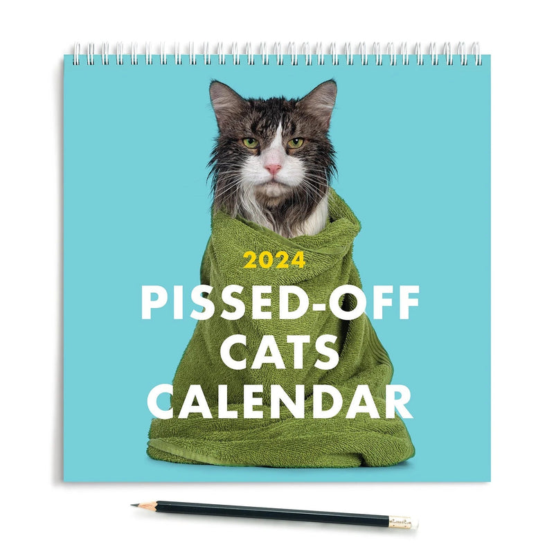 2024 Katzen Kalender