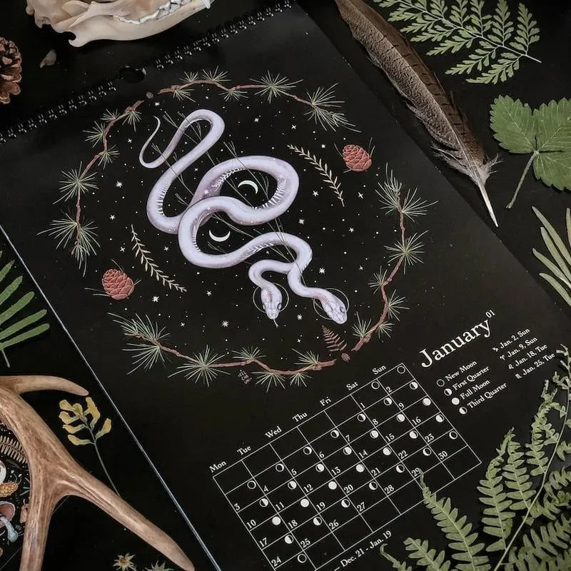 ✨✨Comdaliy — 2023/2024 Dunkler Wald Mondkalender
