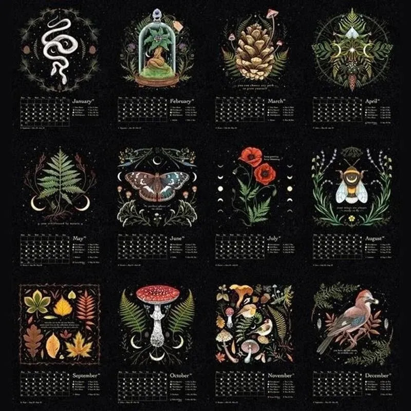 ✨✨Comdaliy — 2023/2024 Dunkler Wald Mondkalender